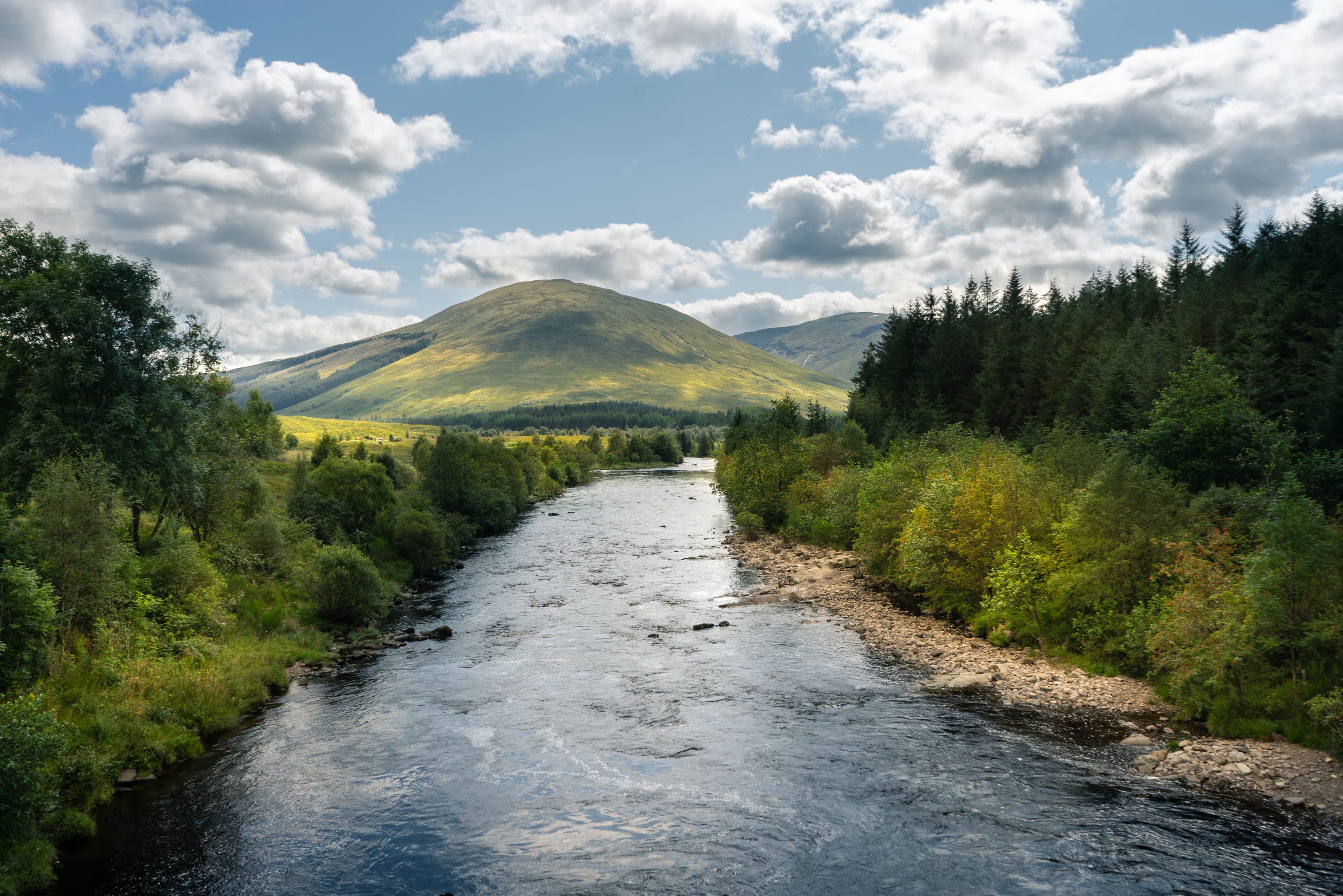 river flowing through trees in scotland