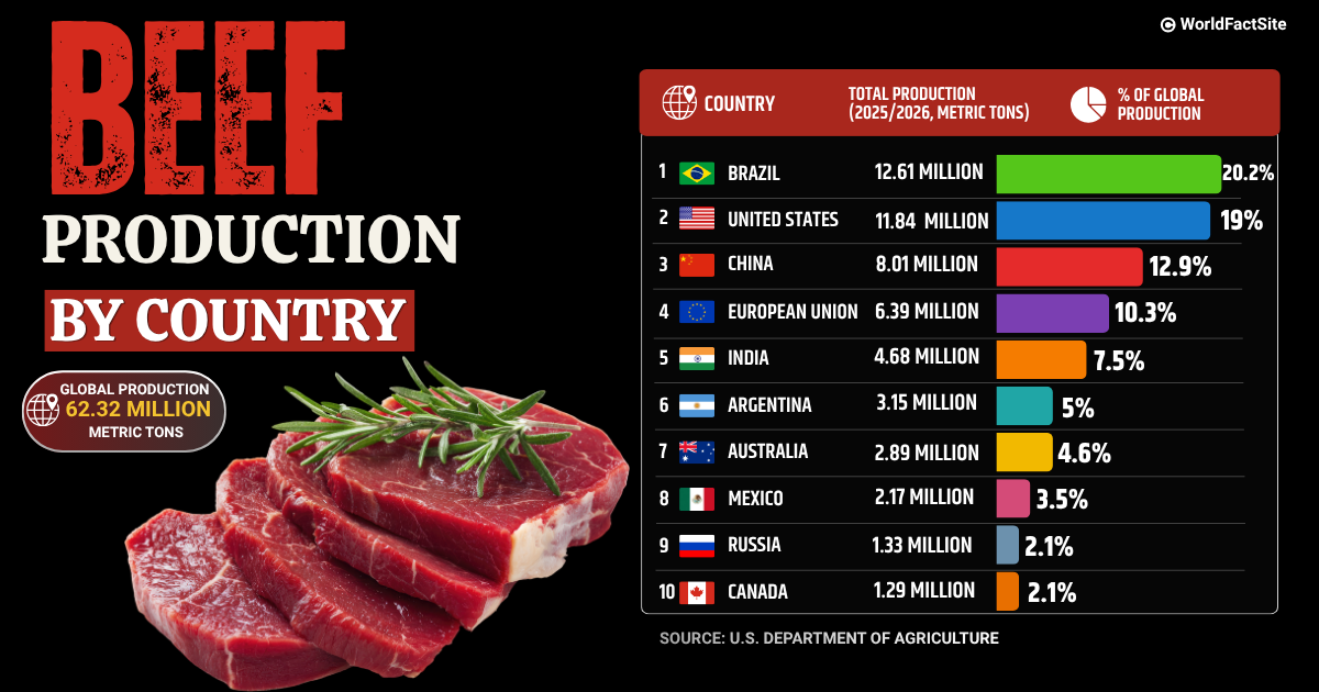 10 Largest producers of beef in the world according to USDA in MY 2025/2026