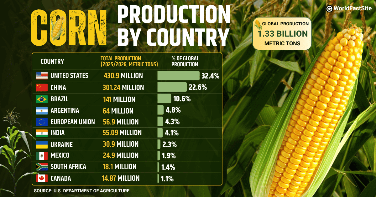 Total production and global share of top corn-producing countries (USDA, MY 2025/26)