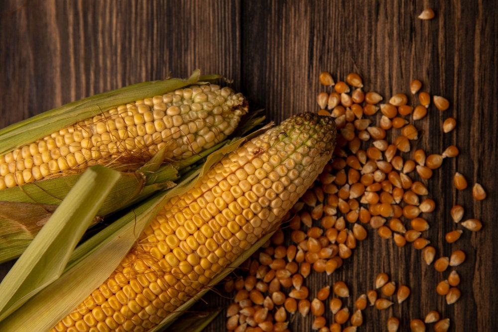 Corn production by country