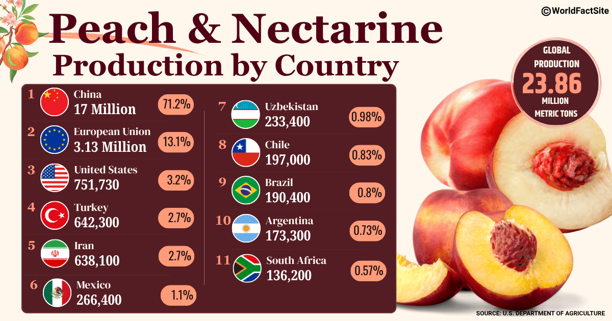Leading producers of peaches and nectarines in the world in MY 2025/26