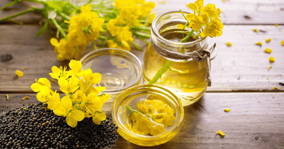 Rapeseed Oil Production by Country 