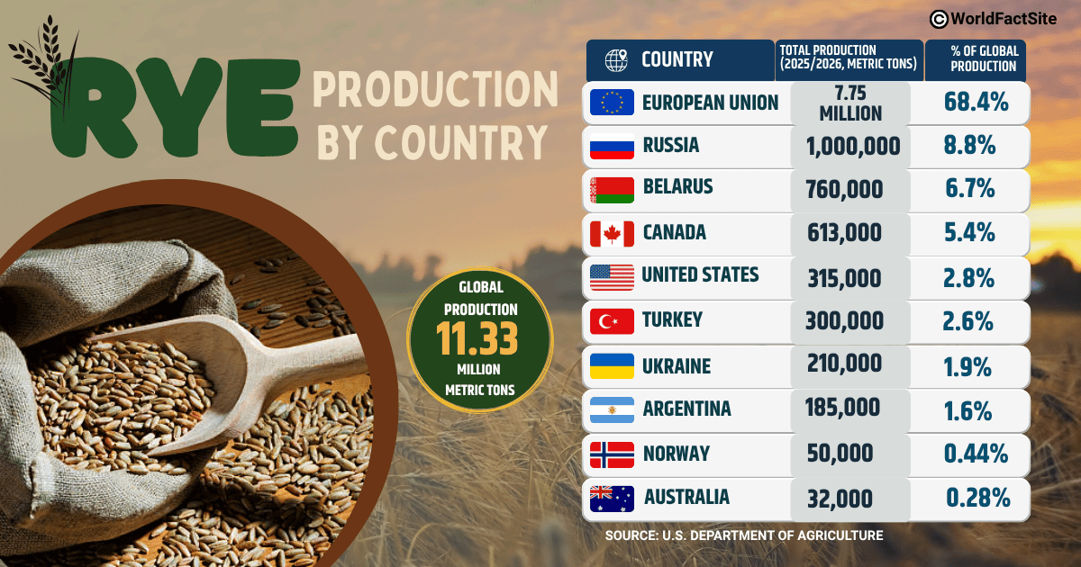 Total production and share of the 10 leading rye-producing countries in MY 2025/2026 (USDA)