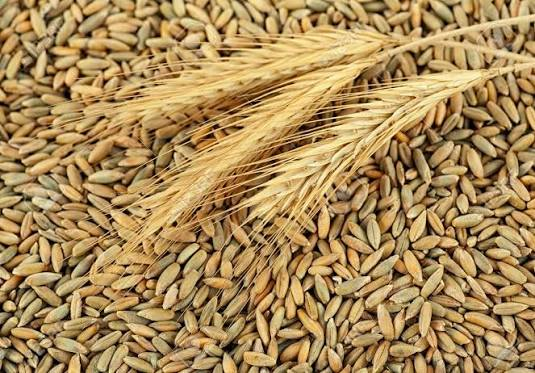 Rye production by country 