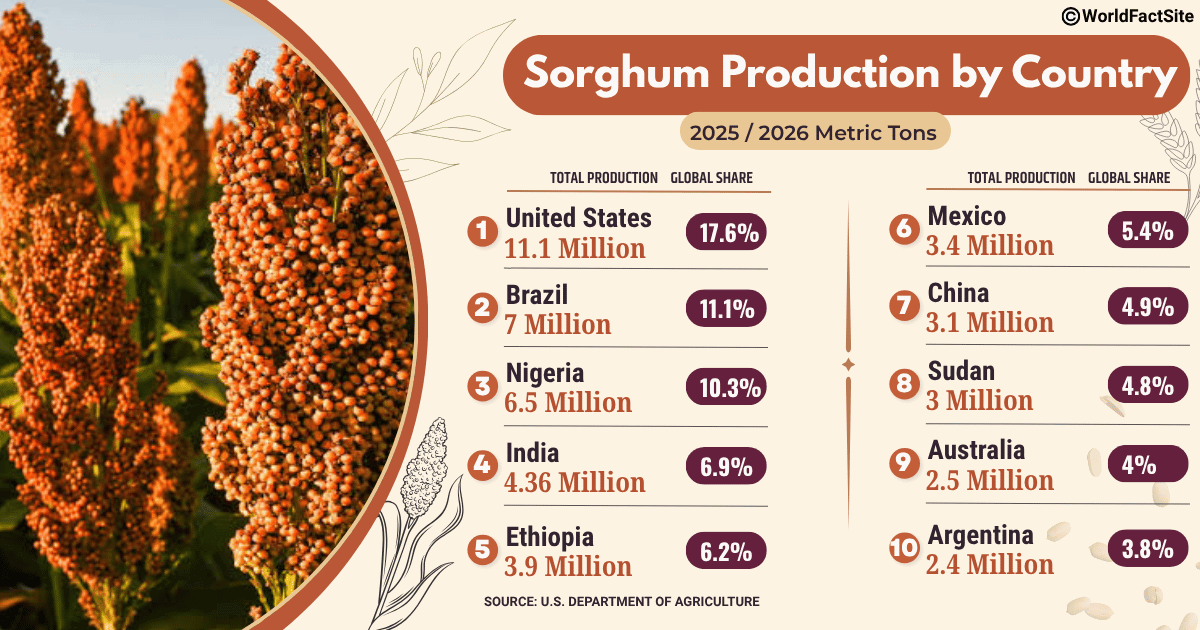 Annual production volume and % contribution to global output of 10 leading producers of sorghum (USDA)