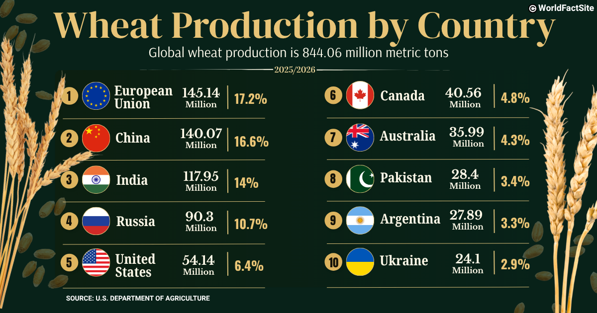 Wheat production by country and share of global production, MY 2025-2026 (USDA)  