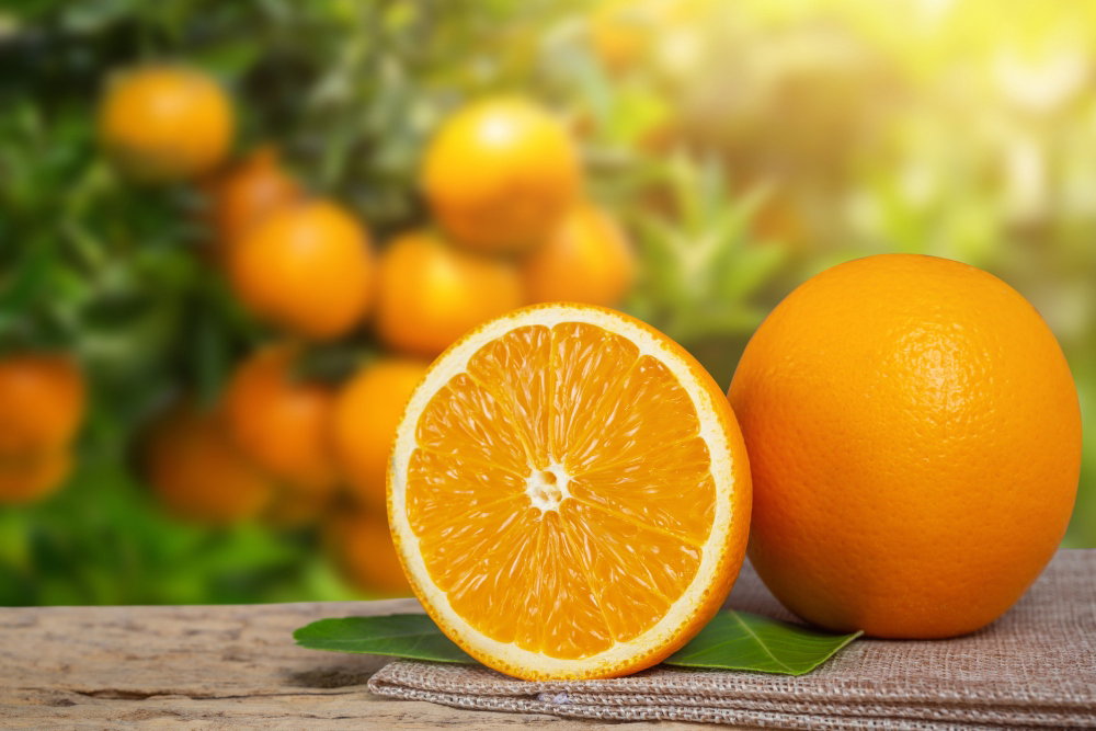 orange production by country 